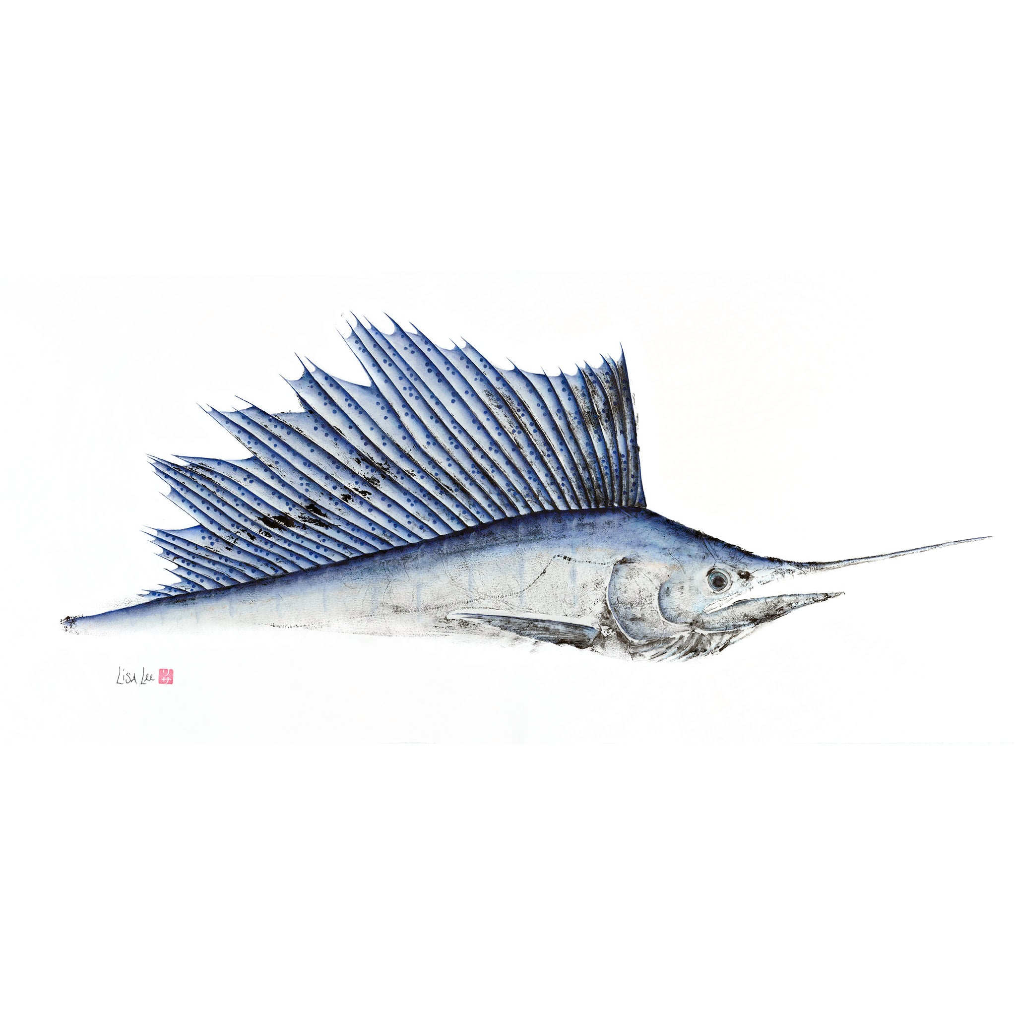 NEW 3/4 Sailfish